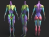 retopo_color