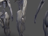 retopo_zoom_mimines